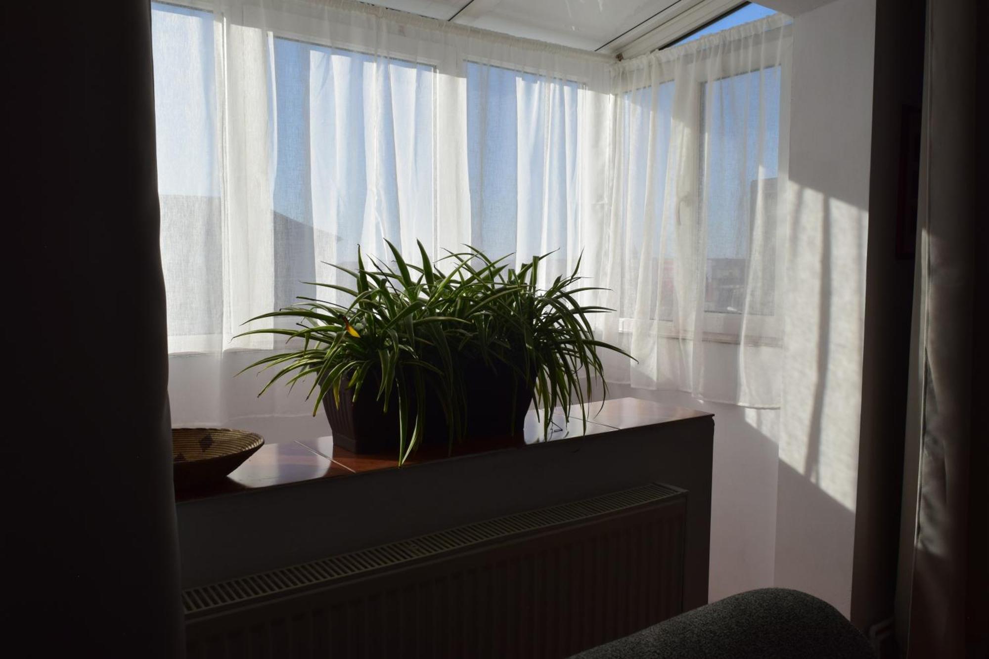Apartament Simina Temesvár Kültér fotó
